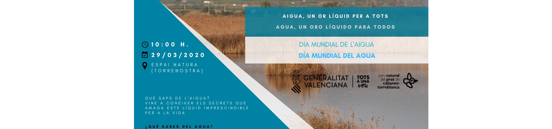 Dia mundial del agua
